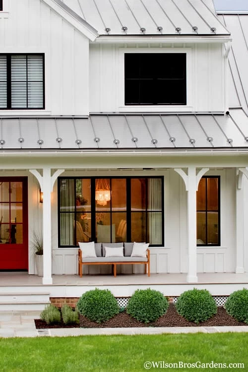 Korean Dwarf Boxwood - Buxus Sinica Var. Insularis 'Nana' - 6 Pack Of 1 Gallon Pots - Image 4